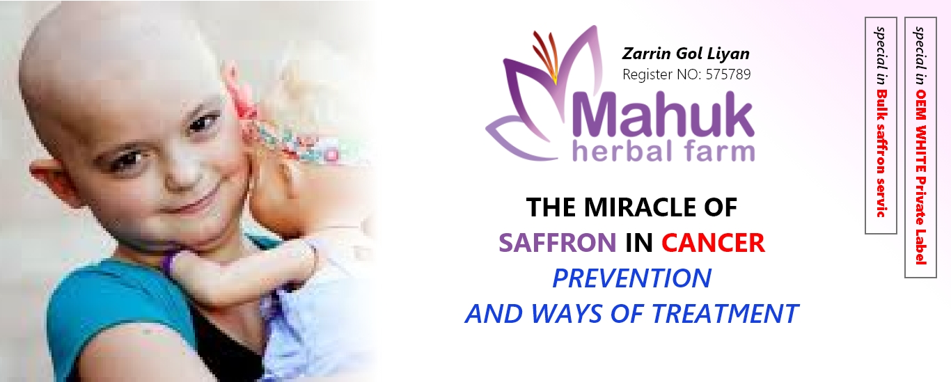 The miracle of saffron in cancer prevention and ways of treatment