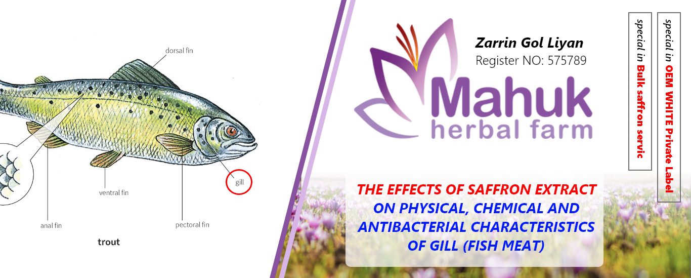 The effects of saffron extract on physical, chemical and antibacterial characteristics of gill (fish meat).