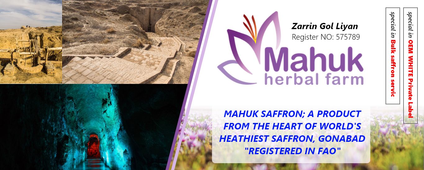 Mahuk saffron; a product from the heart of world’s heathiest saffron, Gonabad “registered in FAO”