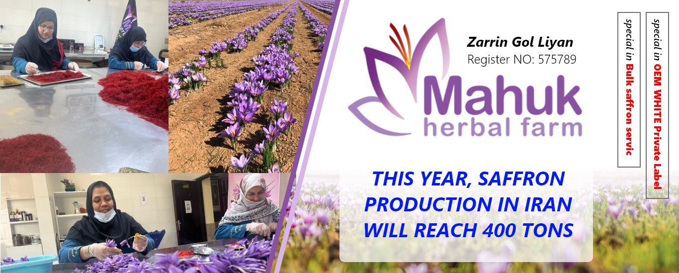 This year, saffron production in Iran will reach 400 tons