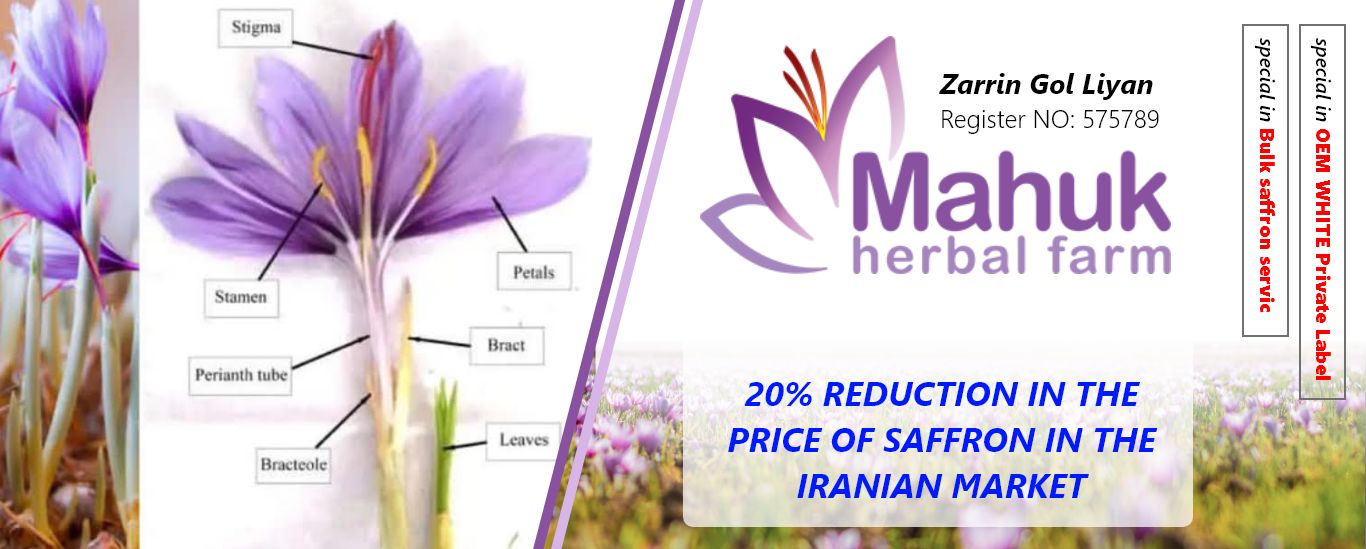 ۲۰% reduction in the price of saffron in the Iranian market